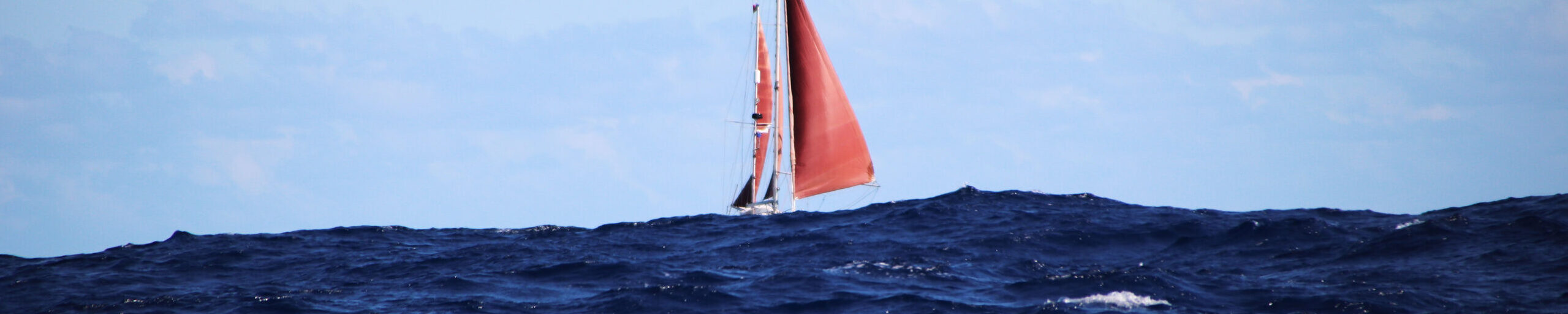 Sailing REYKJA